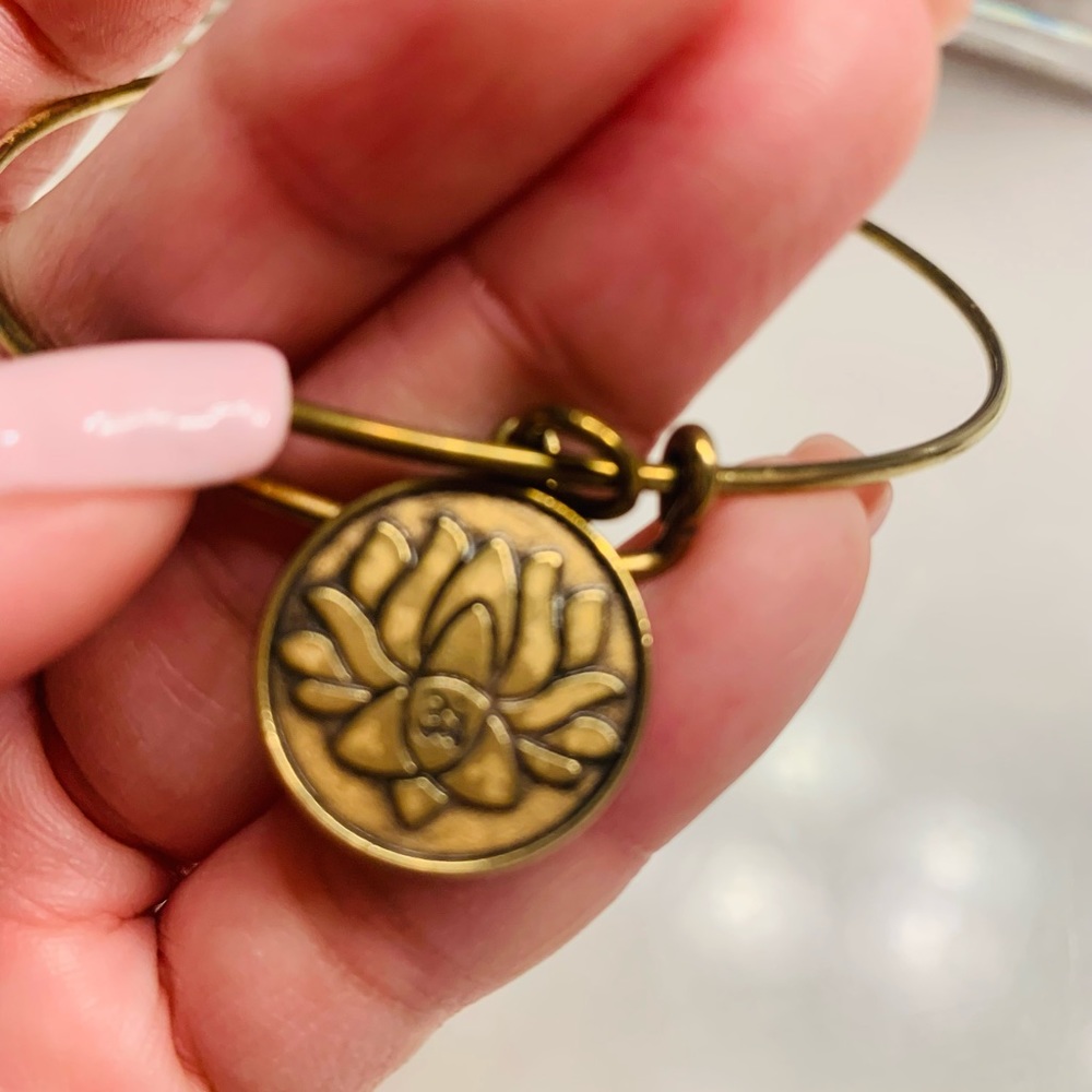 Alex and Ani bracelets bundle - Picture 8 of 11